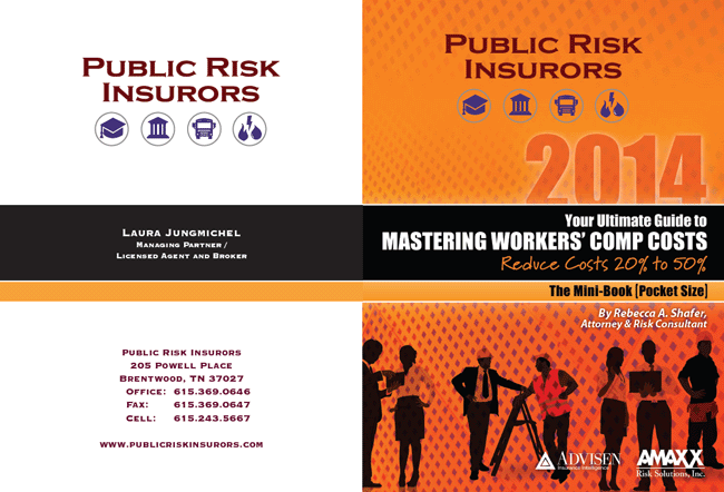 public-risk-insurers-650x442