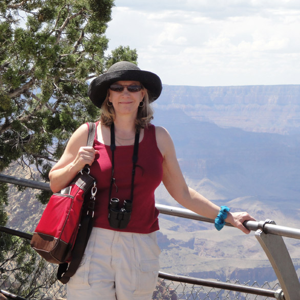 Rebecca Shafer, JD, Full Bio (PDF opens in new window)