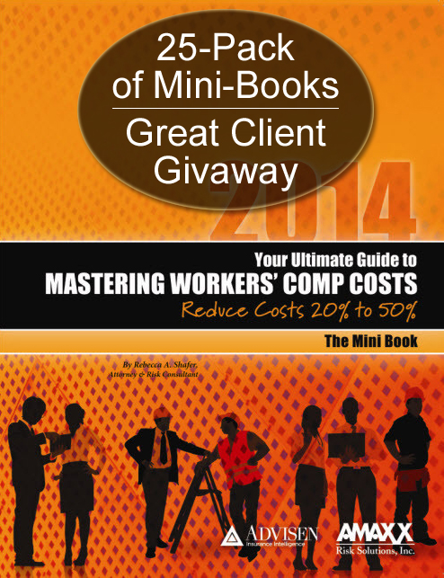 BUY THE MINI BOOK